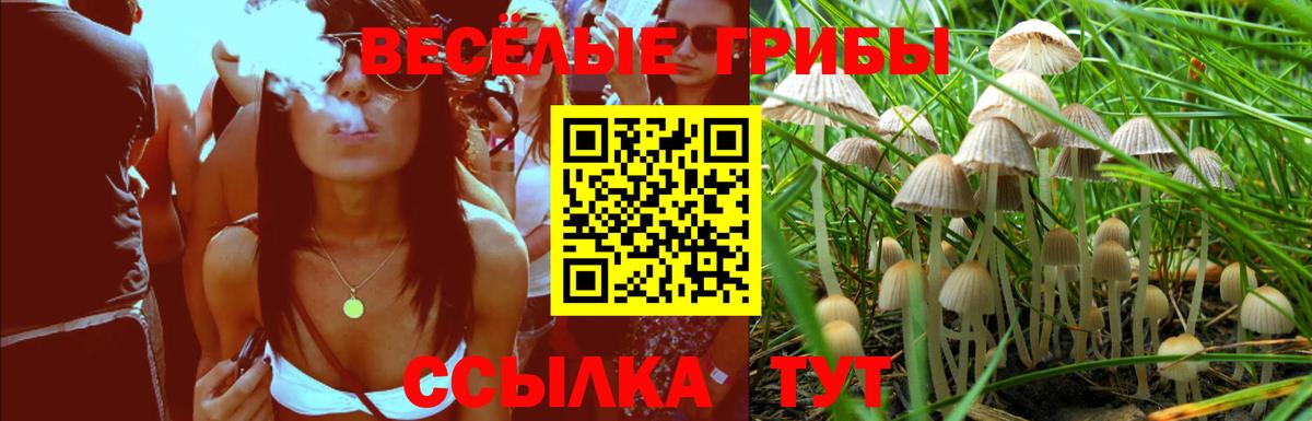 Галлюциногенные грибы Cubensis  Галлюциногенные грибы ЛСД  Кызыл  Вход с VPN 