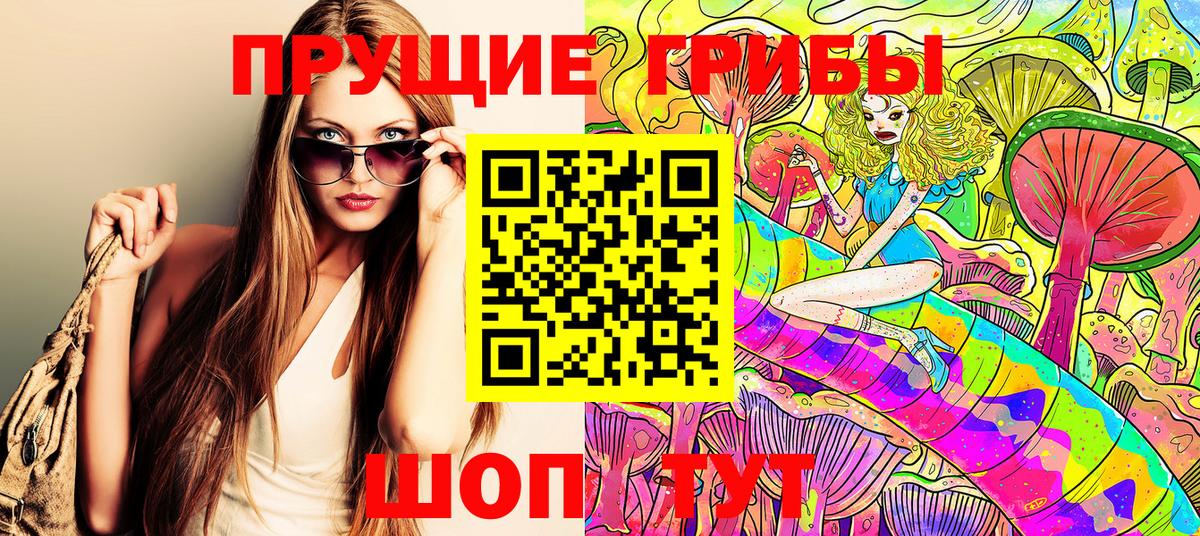 Галлюциногенные грибы Psilocybe Кызыл
